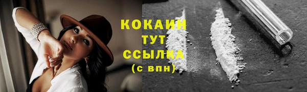 дмт Белокуриха