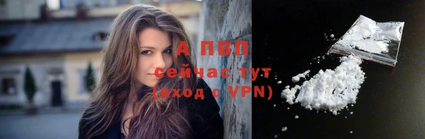 гашиш Богданович