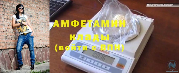 гашиш Богданович