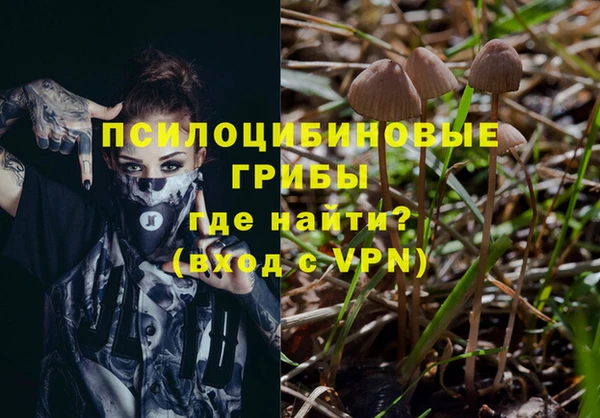 дмт Белокуриха